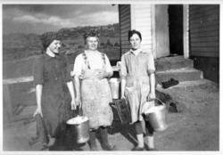 Skåra 1951. Klar til melking, med krakk og bøtte