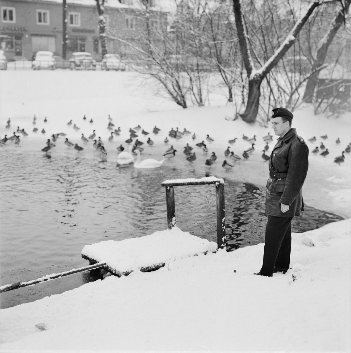 Svandammen - "polishjälp mot kalla andfötter", Uppsala 1961