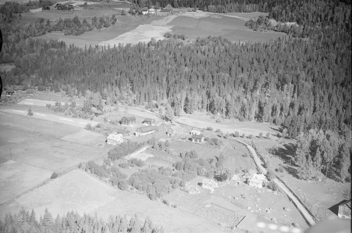 Moen gård, Øyer stasjon, Øyer, 1952, jordbruk, slåttonn, hesjing ...