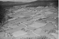 Musdal, 28.08.1953, spredte gårdsbruk, kulturlandskap.