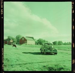 Gårdsbruk på Frosta  like ved Tinhaugen. Driftsbygningene på