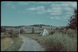 Kulturlandskap på Nesset i Levanger.