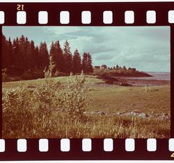 Fra Nesset  i Lervanger.