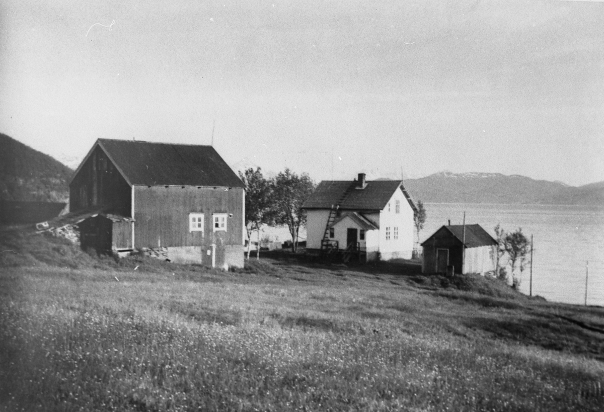 Hovedbygninger på eiendommen Lundegård 19 - 14 i Skatvik i Tranøy.
1960.