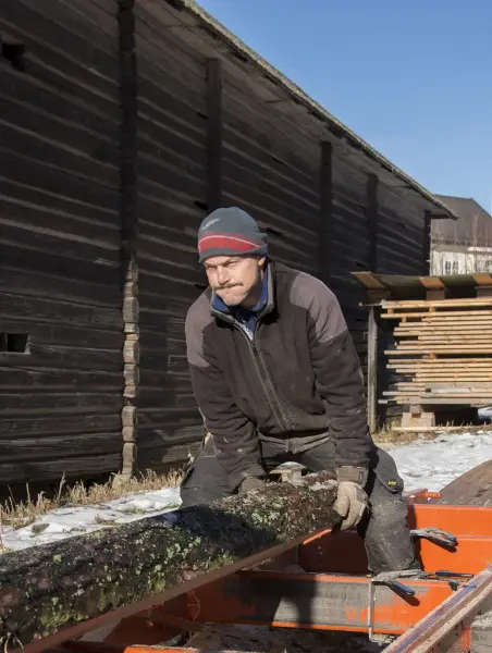 Tømrer står innbitt og dytter på tømmerstokk som skal sages til plank.