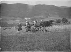 Skuronn på Skråstad, Stadsbygd