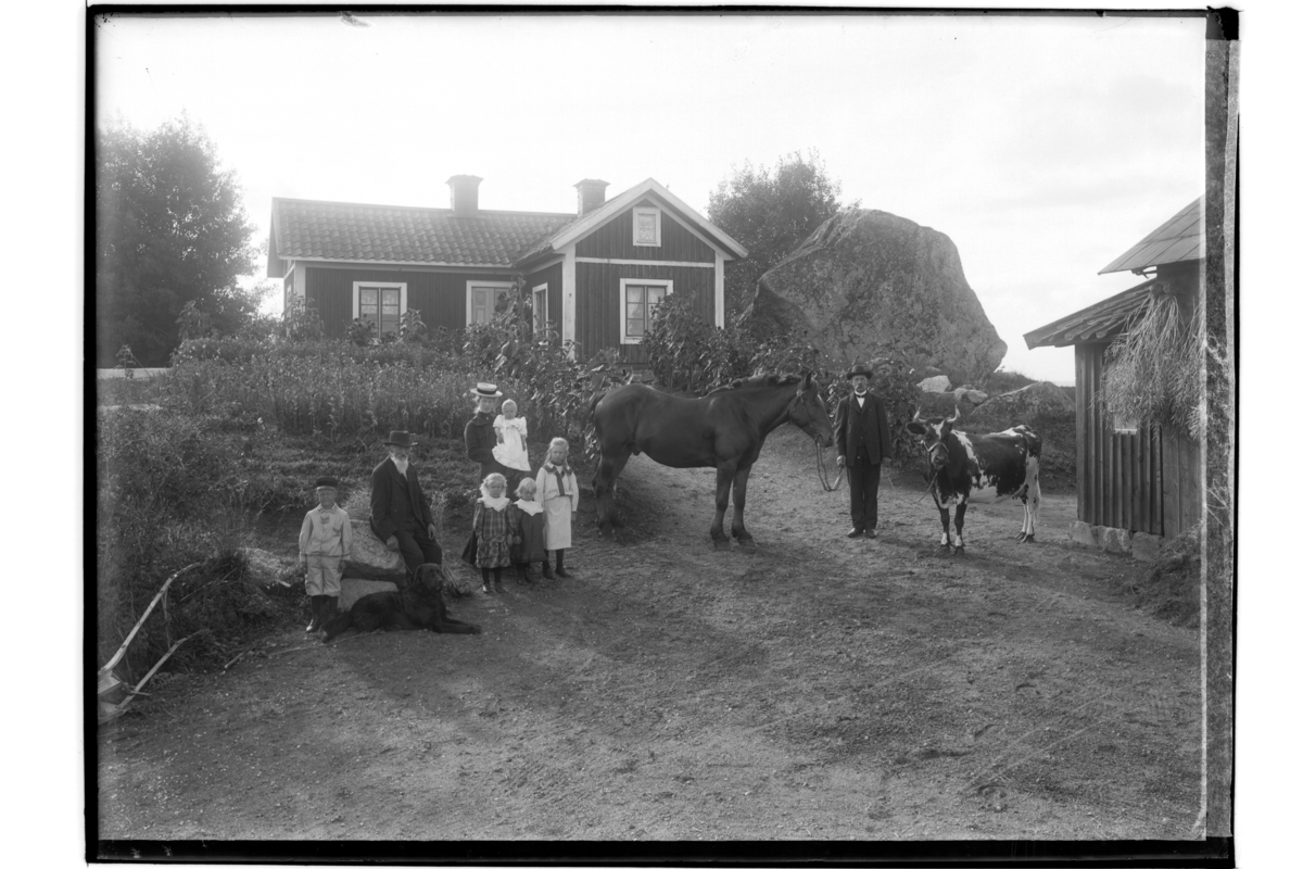 Örebro, Höganord
Byggnad, 8 personer, en hund, en häst och en ko.
H.J. Ramström