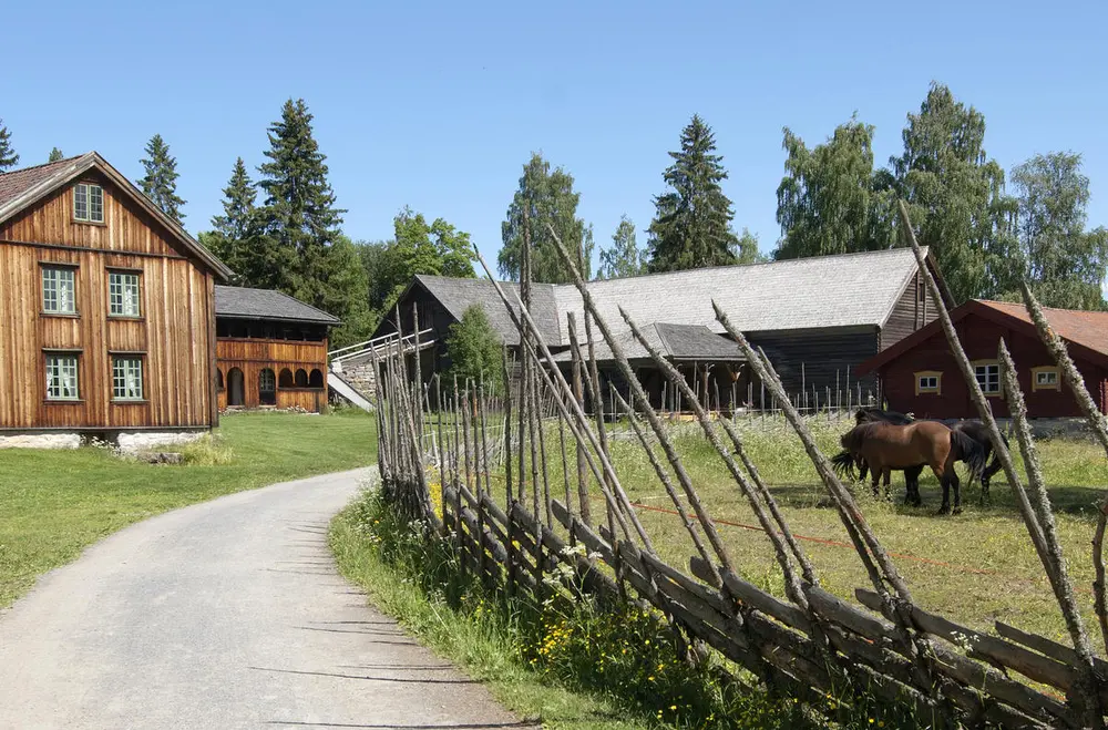 En grusveg og en skigard leder inn mot et tun med to brunsvidde tømmerhus og en stor tømmerlåve med låvebru.