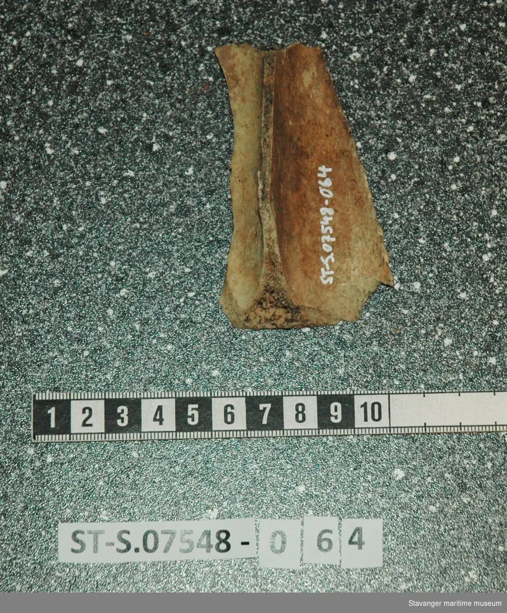 Dyrebeinfragment fra sjakt 2 ca 30cm dybde, funnet 5.2.2016.