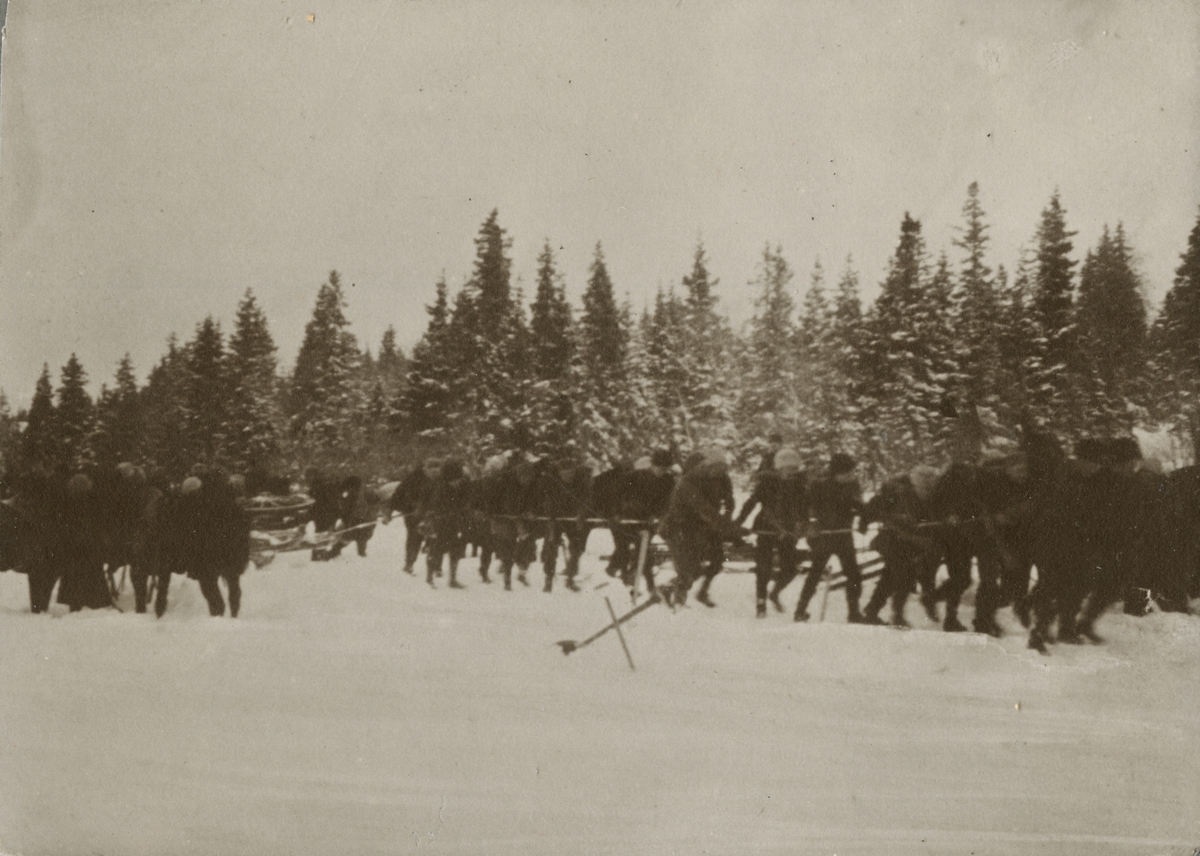 En grupp soldater drar en släde i skogen.