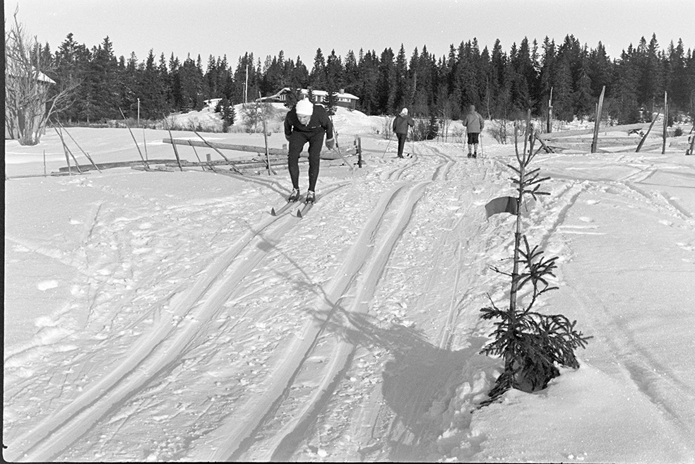 Lageråkvisla, Vangsåsen, vinter, skiløype, skiløpere.