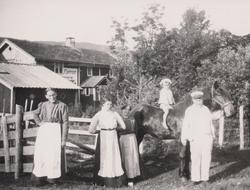 Fordel Johnsens landhandel. 4 voksne personer, lite barn på 