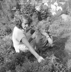 Blåbærplukking i Elsterparken