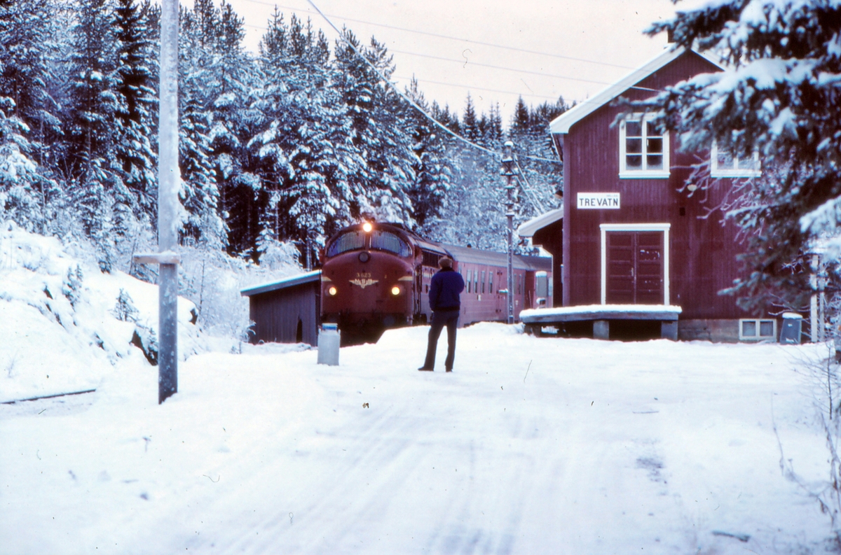 Persontog fra Fagernes til Oslo S på Trevatn stasjon med NSB dieselelektrisk lokomotiv type Di 3.