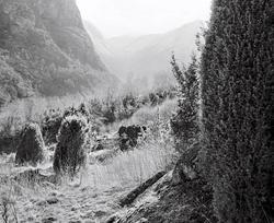 1987-28-08 [Fotografi]