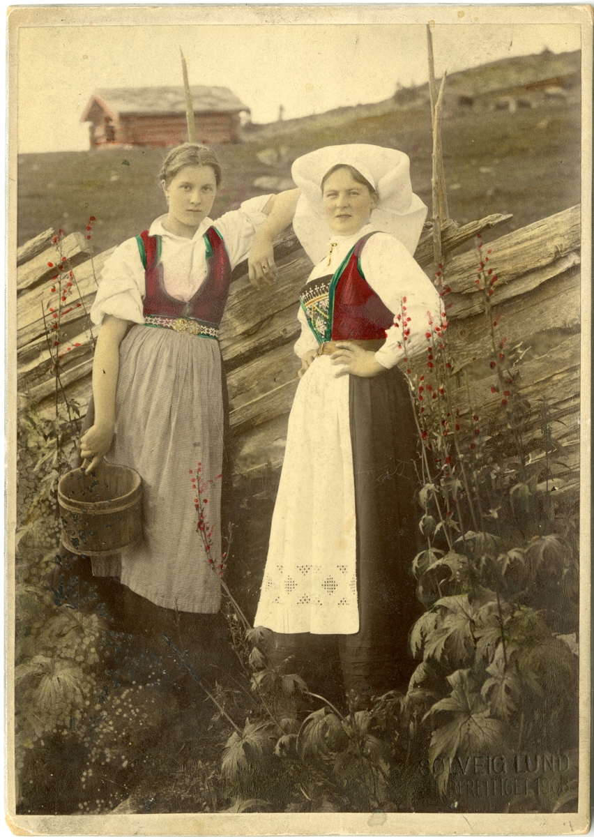 Kolorert fotografi av to kvinner med Hardangerdrakt foran et gjerde på seteren.