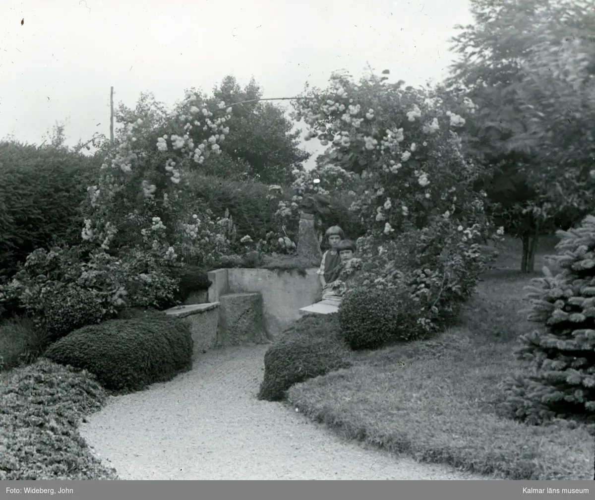 Mittersta delen av Widebergs trädgård.