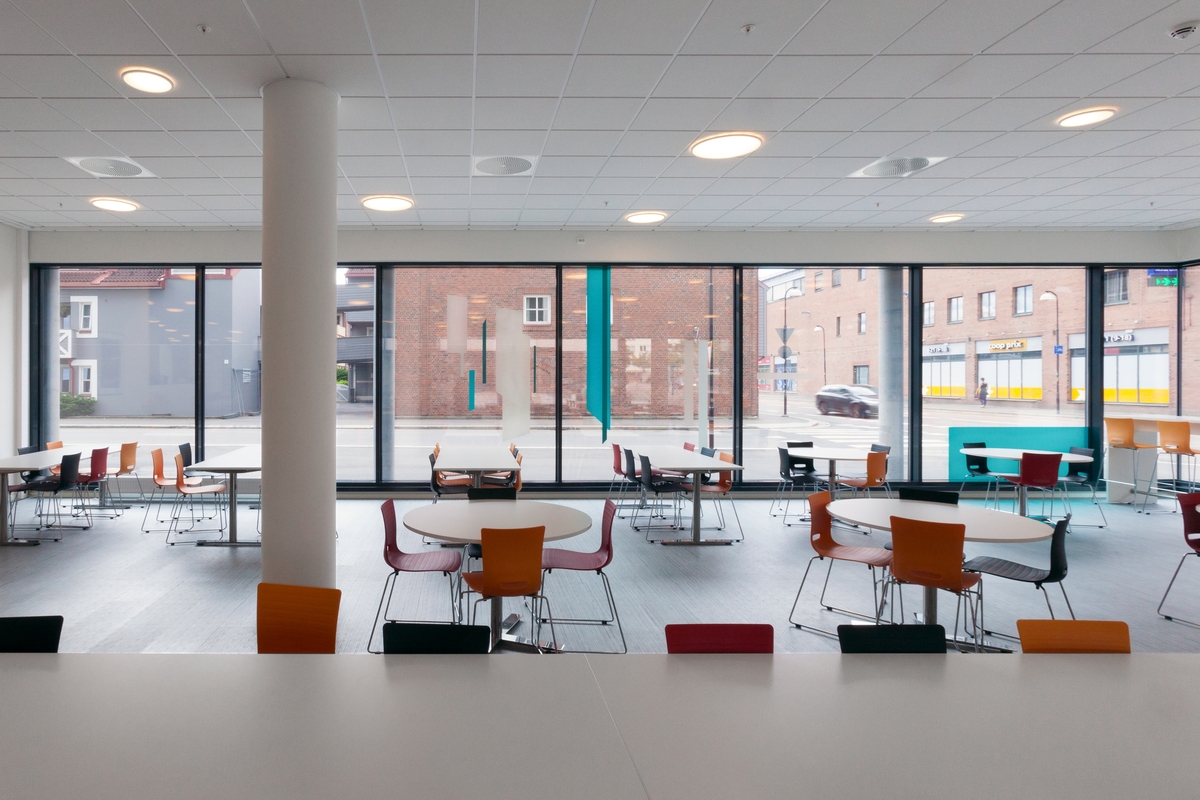 Sikt og samlinger (5) [Digital trykk]