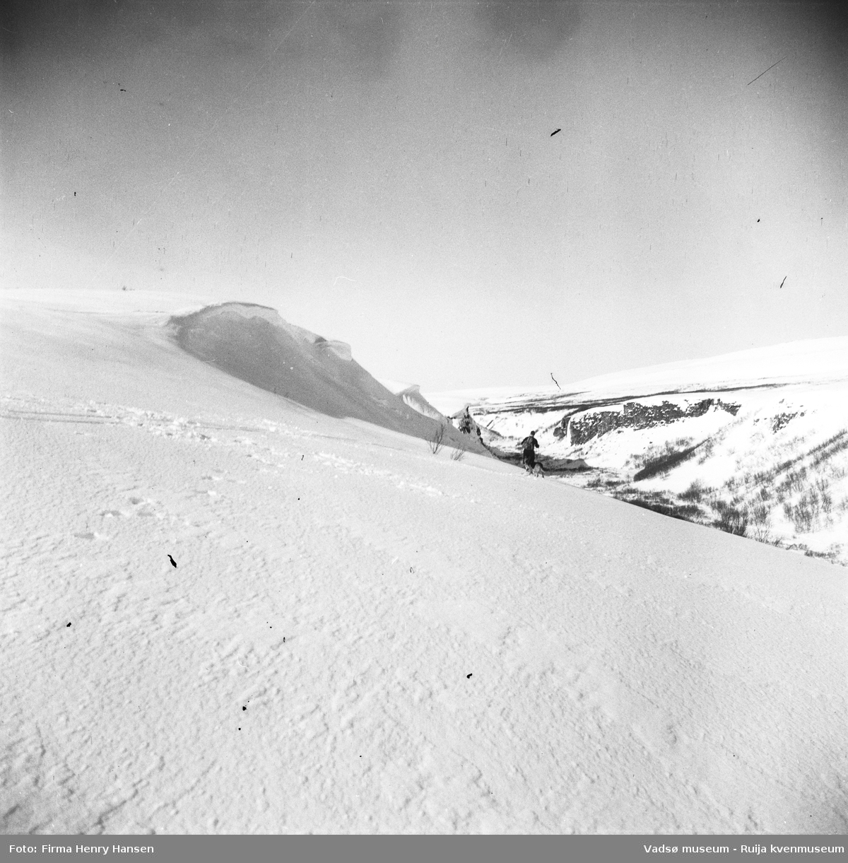 Vinterbilde fra Tomaselvdalen, tatt mot syd. Våren 1949.