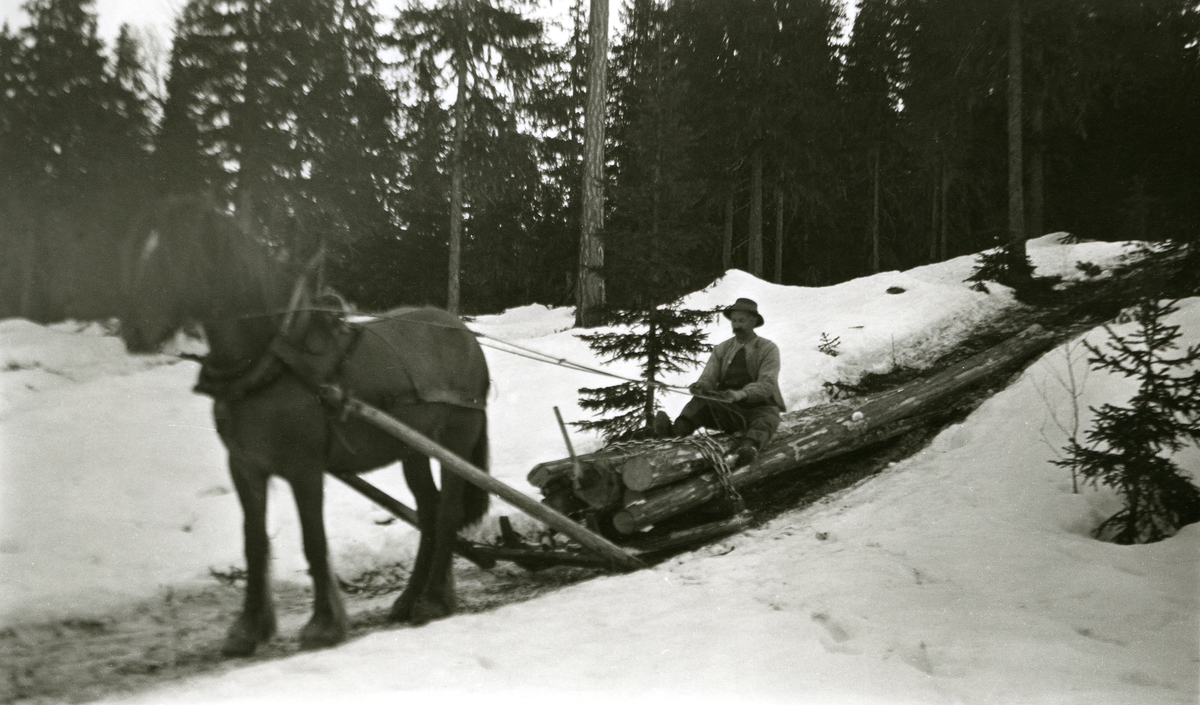 Hest m/tømmerlass i Galåsen (Galåsberget). Mann sittende oppå tømmerlasset.