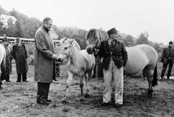 Personer, klær, hester.