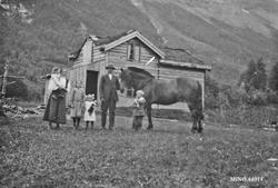 Hest, personer, bolighus, sykkel.