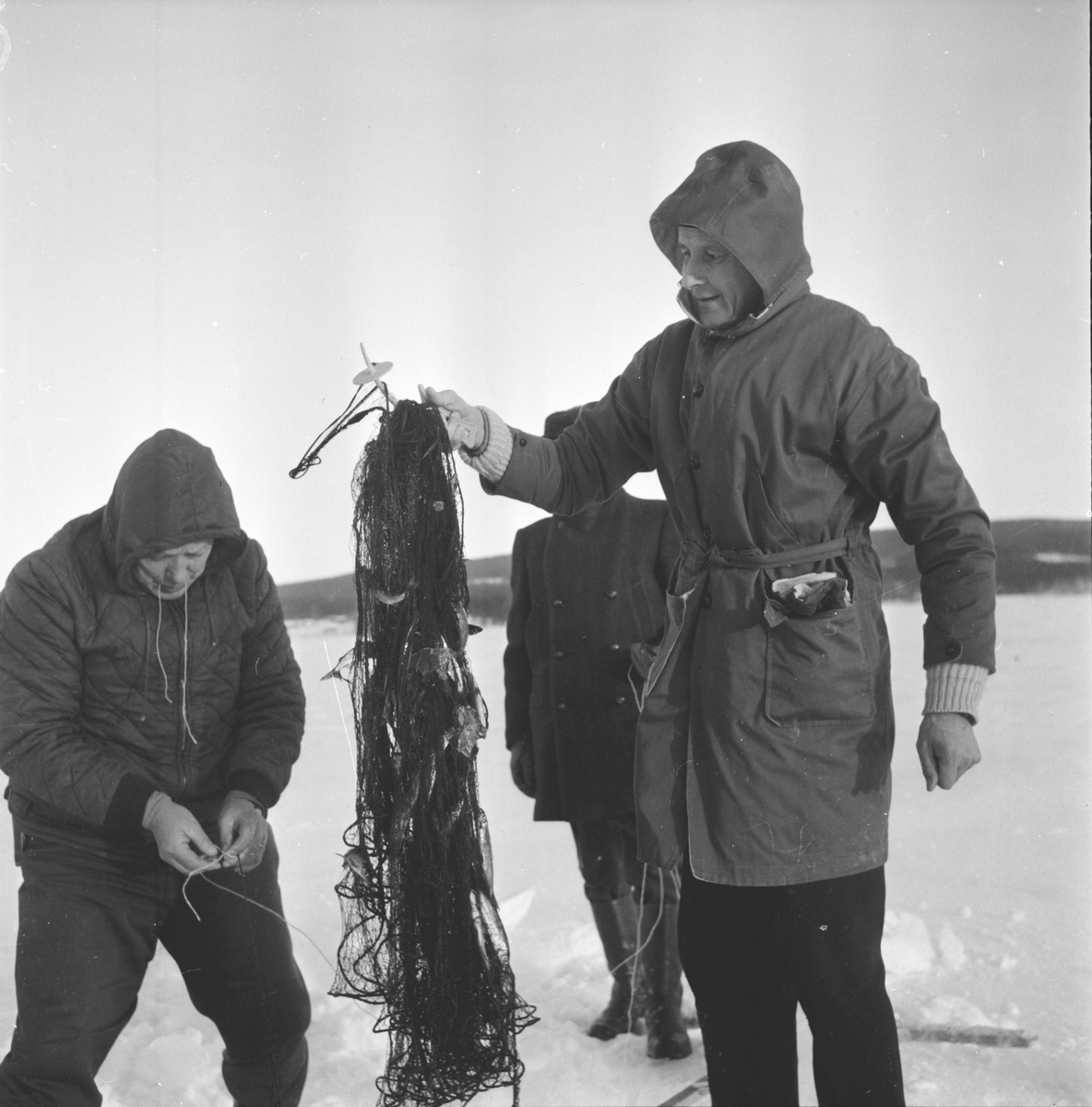 Ljusdal,
Sikfiske på Hennansjön,
Viksten, Sandbäck m.fl.
6 Jan 1965