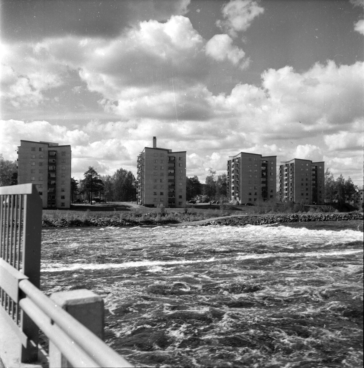 Fjällfloden.
Maj-1960