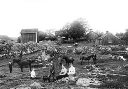 Klever gård, Heli i Spydeberg, ca. 1900. Tunet og husene og 