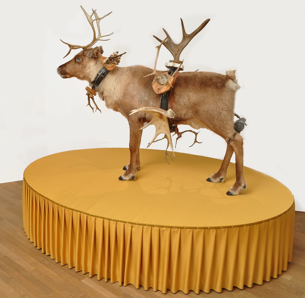 Skulptur i form av uppstoppad ren med horn från hjortdjur runt kroppen. Försedd med eldriven motor. Placerad på ett 50 cm högt ovalt podium av spånplatta, klädd med guldockrafärgat tyg. Utförd år 2002 av konstnär Peter Johansson, född 1964 i Sälen.