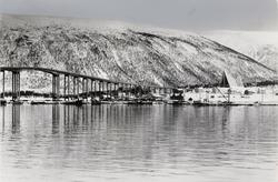 Ishavskatedralen [Fotografi]