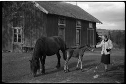 Agnes Lund og hest med føll på tunet på Brunsberg, Ø.Toten.