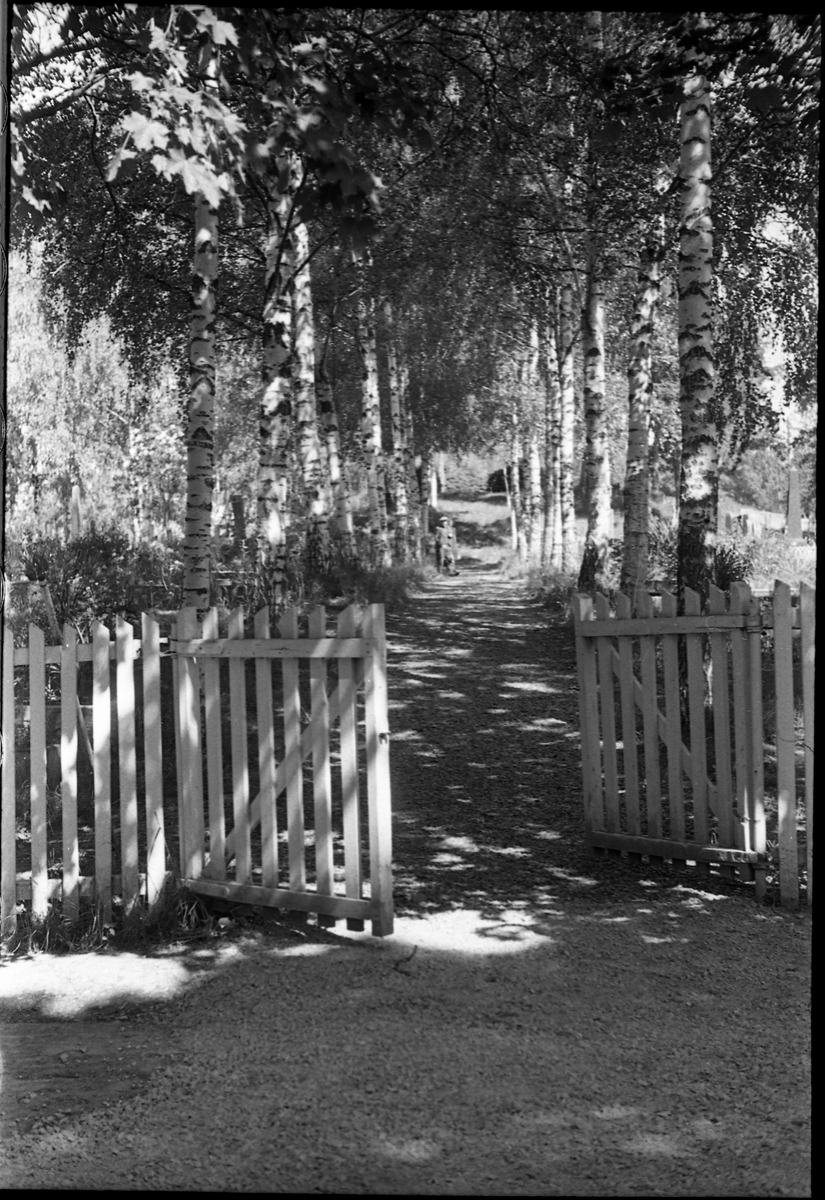 Fem bilder fra Hoff Kirkegård sommeren 1942.