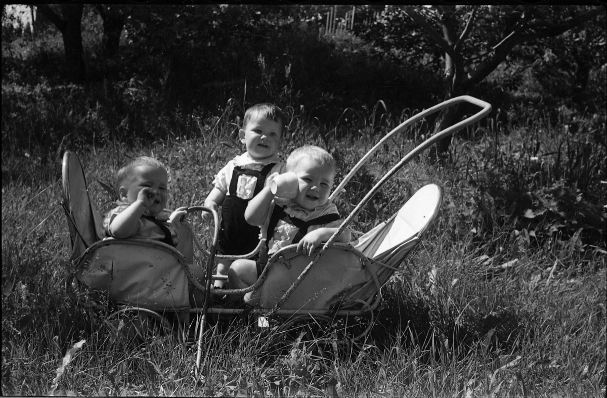 Portrett av tre små barn sommeren 1942. Serie på sju bilder der plasseringen er litt forskjellig. Den med mørkest hår er Terje Balke fra Balke Vestre, de to andre tvillingene Knut og Jan Ørud fra Ørud.