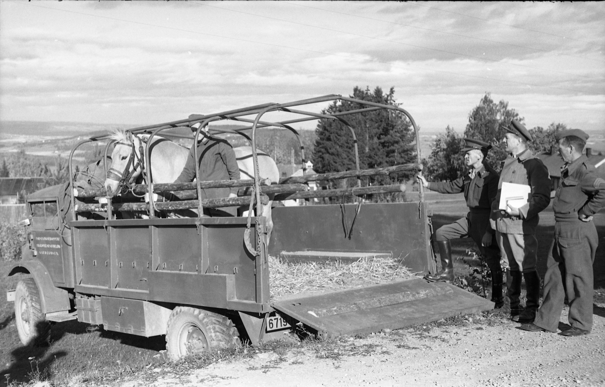 Transport av hest med lastebil ved Hærens Hesteskole på Starum, september/oktober 1948. Serie på 17 bilder. På bilde nr. 4 står fra venstre: Kaptein Sverre Norli, trolig major Bjart Ording (plasskomandant), og sersjant Ottar Markeng.