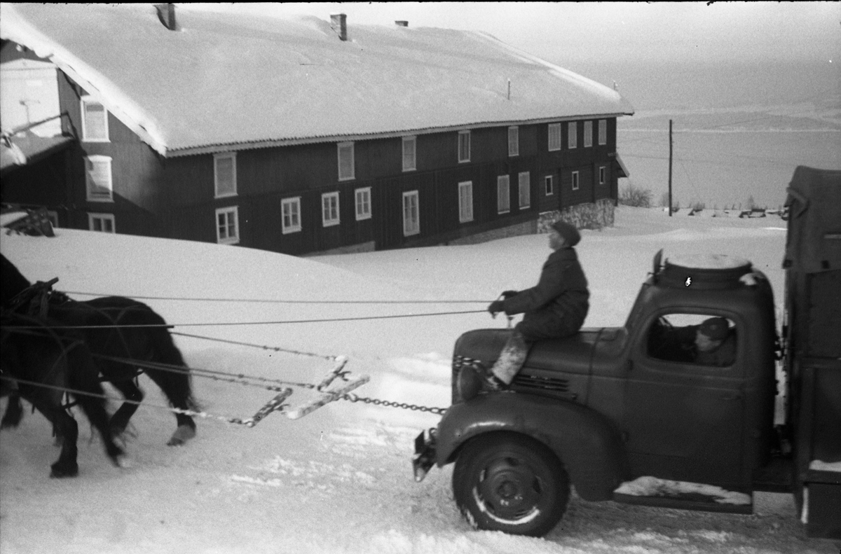 Lastebil trukket av firbente hestekrefter. Hærens Hesteskole, Starum, februar 1950.
