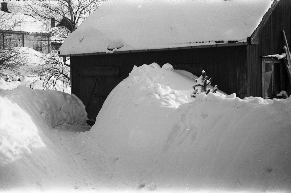 Snøvinteren 1951. Åtte bilder fra fotografens eiendom Odberg på Kraby, Ø.Toten.