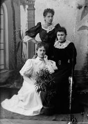 3 kvinner, ungdom, sositet, lakseturister?