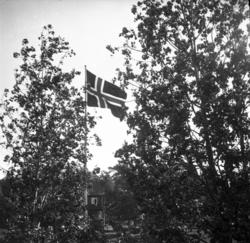 (ste181a).Gon-hytta som er møtelokalet for NGU og ligger mid