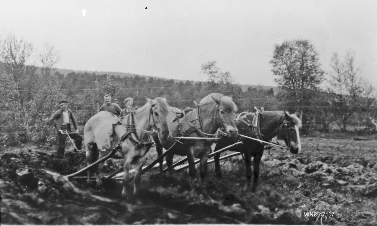 Kjøring med tre hester. 1) Olav Barstad, 2) Per Barstad, 3) Per J. Randen f. 1922. 