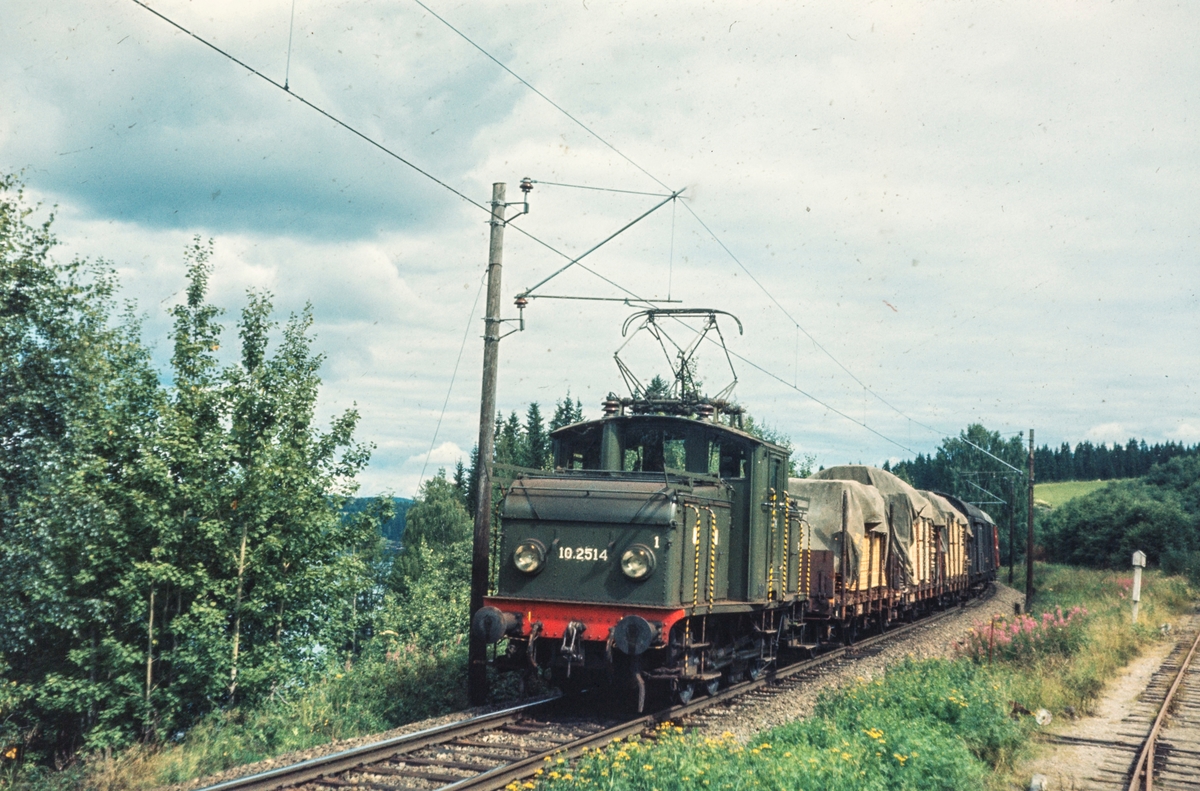 Godstoget "Planken" fra Årnes til Oslo passerer ved Bingsfoss mellom Blaker og Sørumsand. Toget trekkes av elektrisk lokomotiv El 10 2514.
