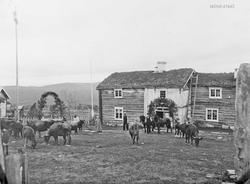 Bryllupet til Oline og Andreas Østgård. Ole N. Østgård, John