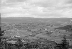 Utsikt fra Sølvsberget, Brandbu. Ikke skannet.