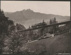 Rigibahn (Schnurtobelbrücke) [Fotografi]