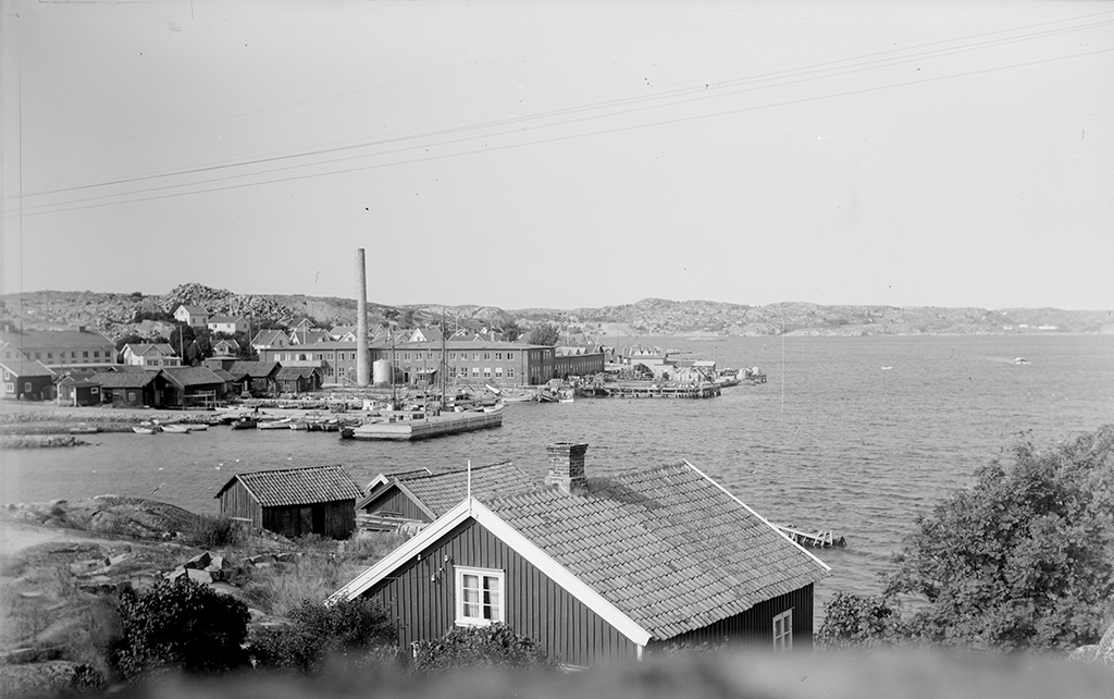 Motiv från Bohuslän ur bildsamlingen efter fotograf Carl Alfred Träff.