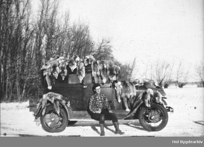 Jakt. pelsjakt, fellejakt, rev, prærieulv, pelsjeger, skinn, Ford 1928-29