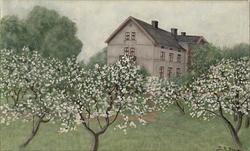 Omejerløkken [landskap]