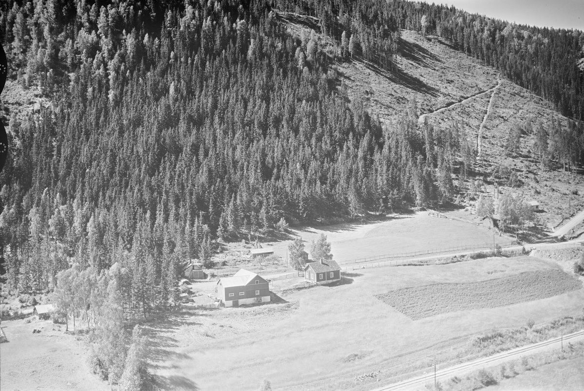 Steine gård, Vestsida, Øyer, 16.07.1959, li, kulturlandskap, jordbruk, blandingsskog