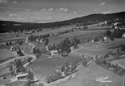 133157 Musdal, Tretten  Widerøe