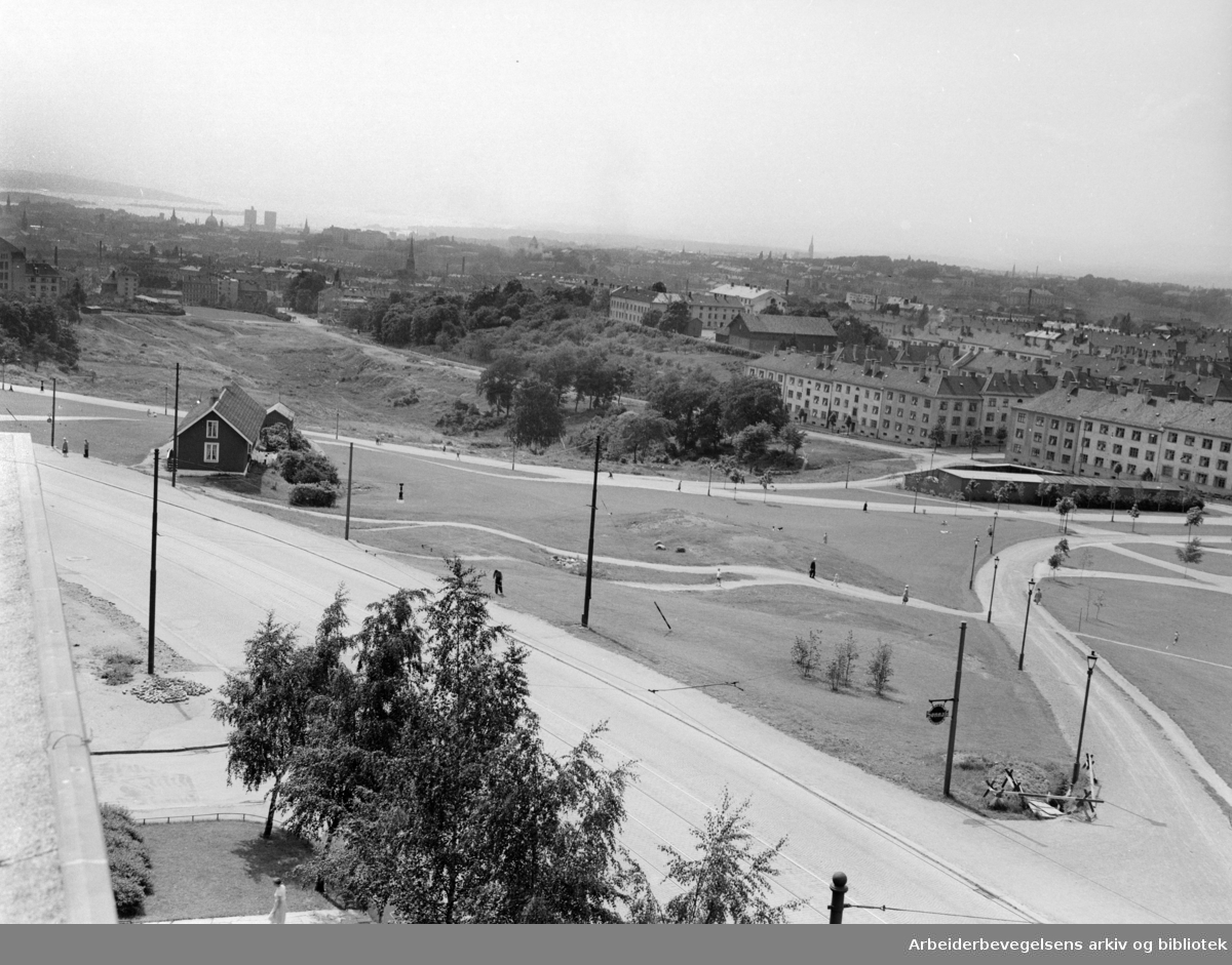 Torshovdalen park. Juni 1953